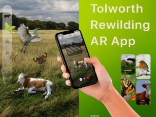 Tolworth Rewilding AR App